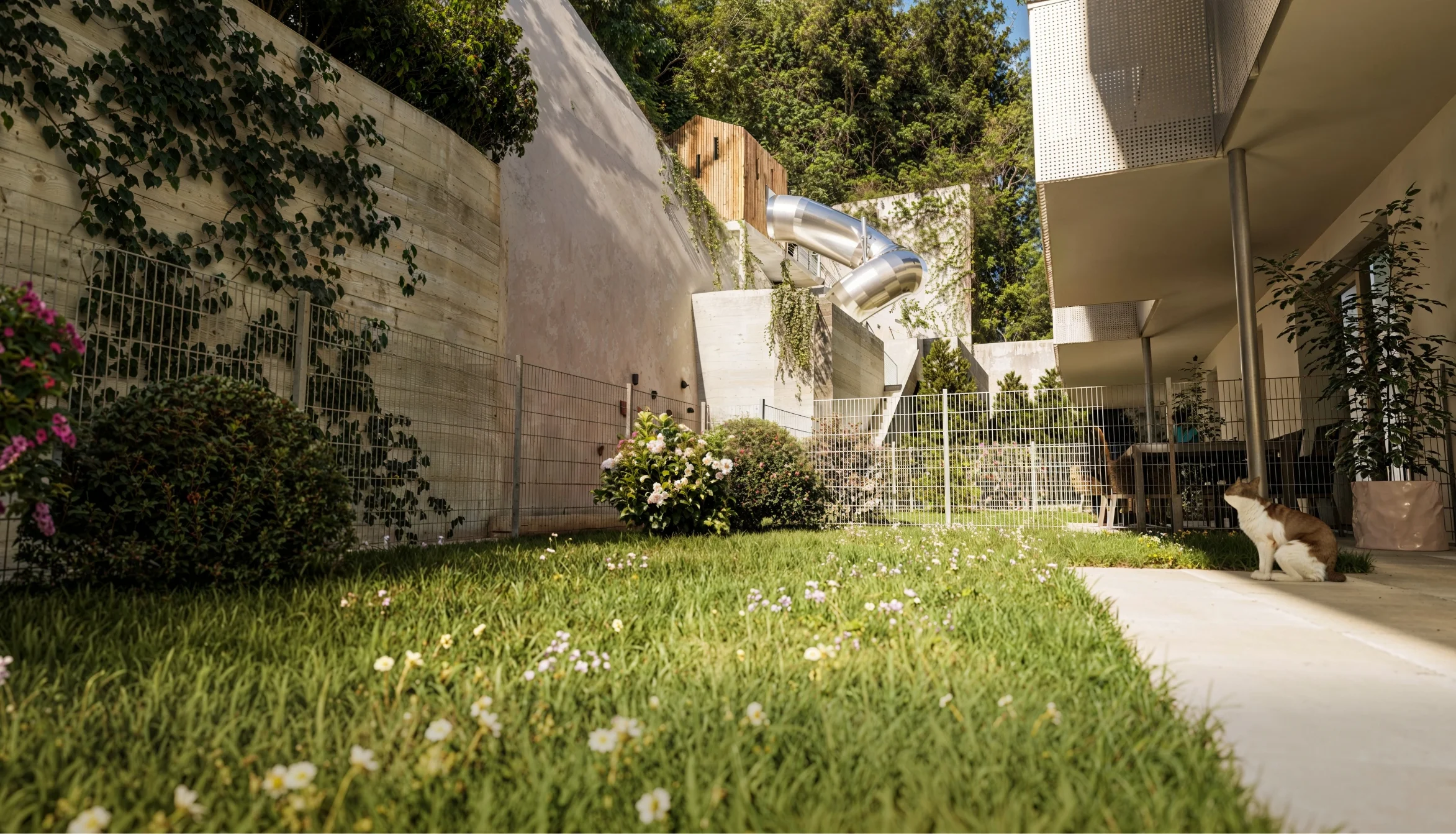 Begrünter Garten mit Rasen, einer Katze im Vordergrund und einer Rutsche am Hang.